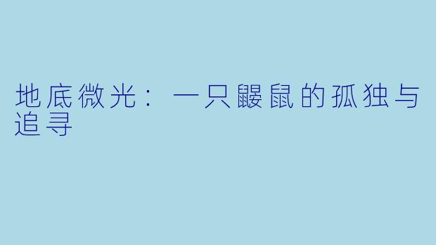 地底微光：一只鼹鼠的孤独与追寻