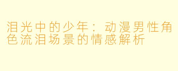 泪光中的少年:动漫男性角色流泪场景的情感解析