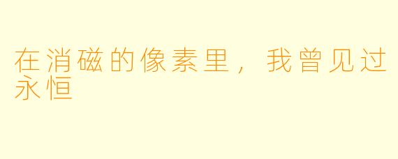 在消磁的像素里，我曾见过永恒