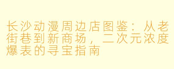 长沙动漫周边店图鉴：从老街巷到新商场，二次元浓度爆表的寻宝指南