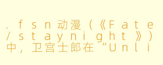 .fsn动漫(《Fate/staynight》)中,卫宫士郎在“UnlimitedBladeWorks”路线里最终领悟的“无限剑制”核心本质是什么?
