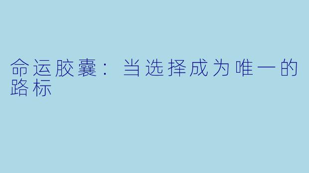 命运胶囊：当选择成为唯一的路标