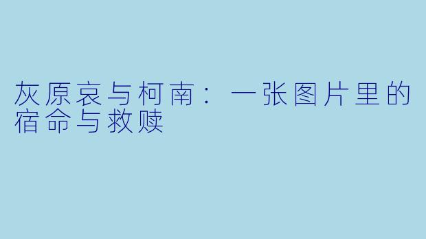 灰原哀与柯南：一张图片里的宿命与救赎