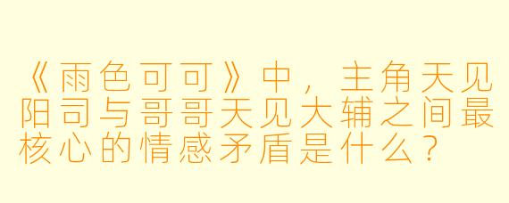 《雨色可可》中，主角天见阳司与哥哥天见大辅之间最核心的情感矛盾是什么？