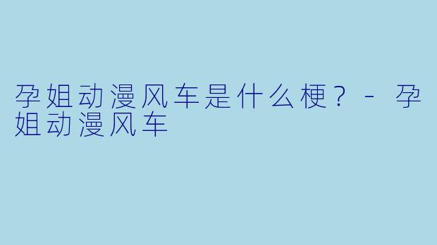 孕姐动漫风车是什么梗？