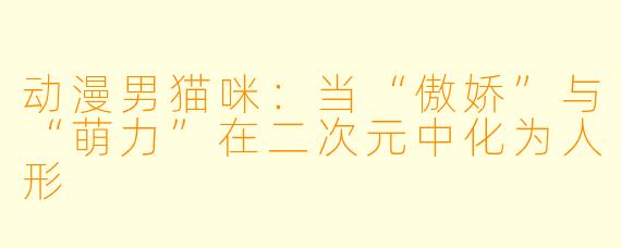 动漫男猫咪：当“傲娇”与“萌力”在二次元中化为人形