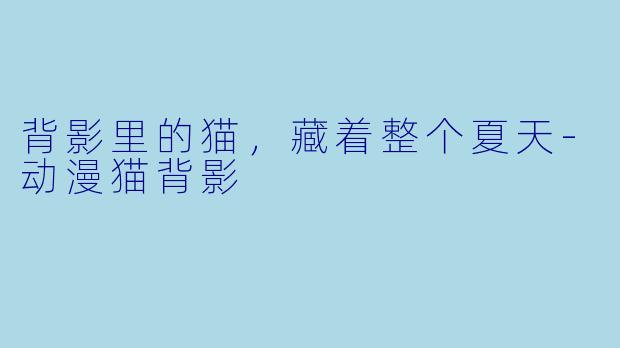 背影里的猫，藏着整个夏天