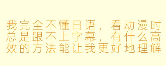 我完全不懂日语，看动漫时总是跟不上字幕，有什么高效的方法能让我更好地理解剧情和享受作品？