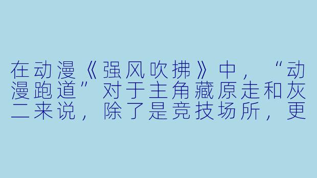 在动漫《强风吹拂》中，“动漫跑道”对于主角藏原走和灰二来说，除了是竞技场所，更象征着什么？