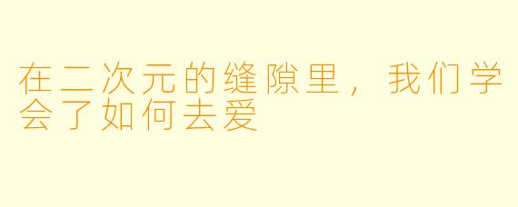 在二次元的缝隙里，我们学会了如何去爱