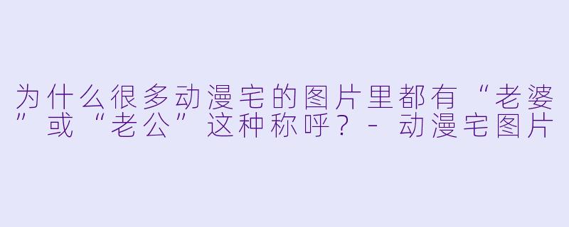 为什么很多动漫宅的图片里都有“老婆”或“老公”这种称呼？