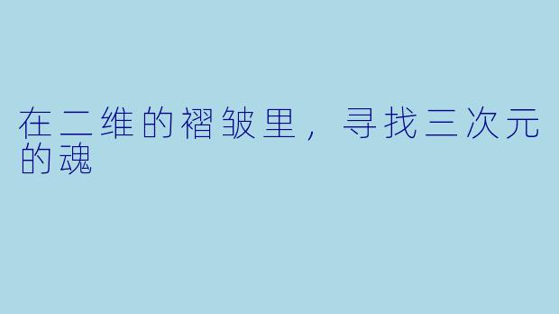 在二维的褶皱里，寻找三次元的魂