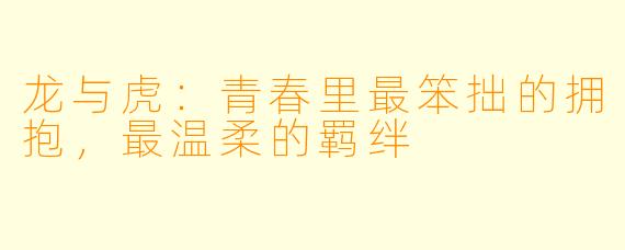 龙与虎：青春里最笨拙的拥抱，最温柔的羁绊