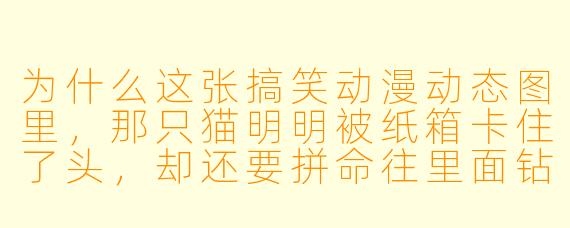 为什么这张搞笑动漫动态图里，那只猫明明被纸箱卡住了头，却还要拼命往里面钻，最后还露出了一脸“我赢了”的表情？