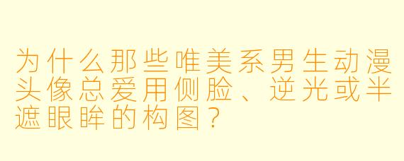 为什么那些唯美系男生动漫头像总爱用侧脸、逆光或半遮眼眸的构图？