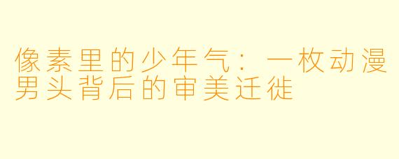像素里的少年气：一枚动漫男头背后的审美迁徙